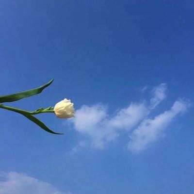 挂机打仙战手游