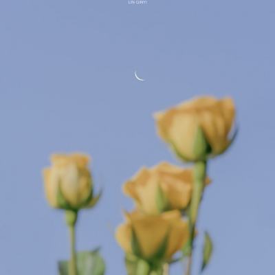江湖悠悠公测最新版本下载